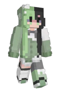 _TallyMarks_ Minecraft avatar full body