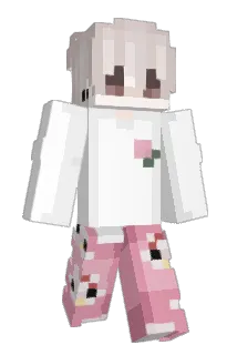 _Teddyy Minecraft avatar full body