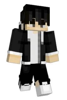 _Tidal Minecraft avatar full body
