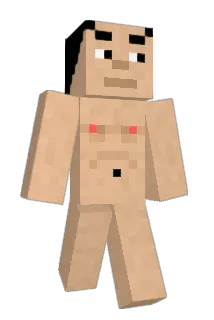 _Timppa Minecraft avatar full body