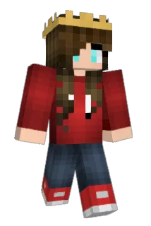 _TinSpeederMan_ Minecraft avatar full body