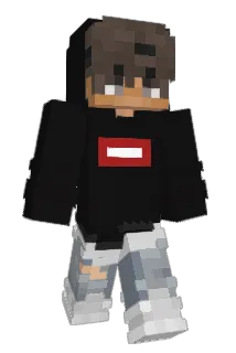 _TommyHilfiger_ Minecraft avatar full body
