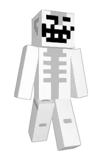 _TrY_JdW_ Minecraft avatar full body