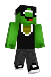 _Turtlez Minecraft avatar full body
