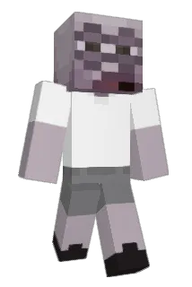 _Tweakin_ Minecraft avatar full body