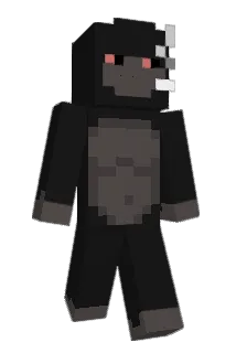 _Tyree Minecraft avatar full body