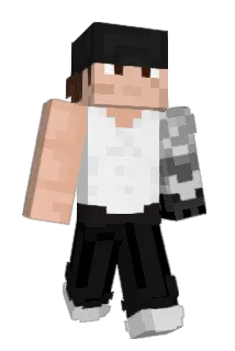 _V3X_ Minecraft avatar full body