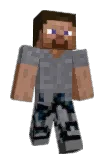 _Vectronix Minecraft avatar full body