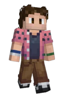 _Vignette Minecraft avatar full body