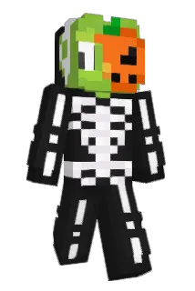 _Vividd_ Minecraft avatar full body