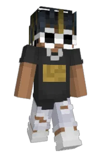_WRD Minecraft avatar full body