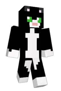 _WarriorCat_ Minecraft avatar full body