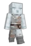_WarriorWorker_ Minecraft avatar full body