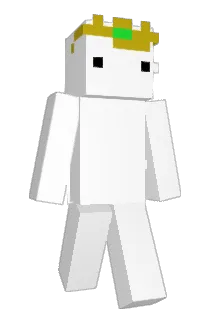 _We1rd_ Minecraft avatar full body