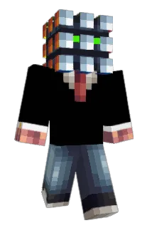 _Wenz_ Minecraft avatar full body
