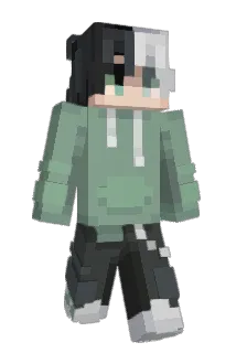 _Window__ Minecraft avatar full body