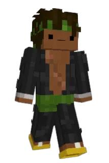 _Wippy Minecraft avatar full body