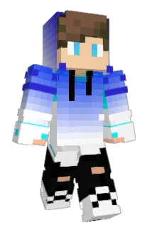 _Witz_ Minecraft avatar full body