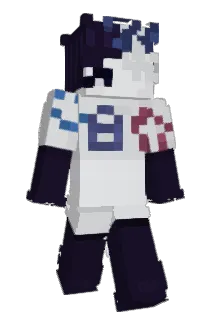 _Z1P_ Minecraft avatar full body