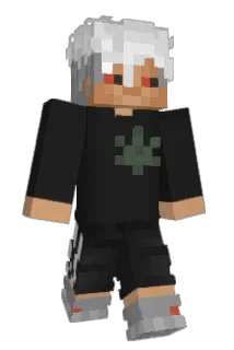 _Z3jarany_ Minecraft avatar full body