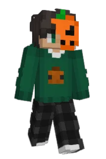_ZNCR Minecraft avatar full body