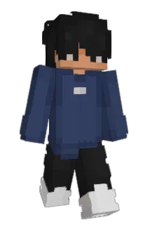 _ZWT Minecraft avatar full body
