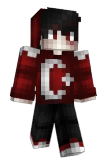 _Zwand Minecraft avatar full body