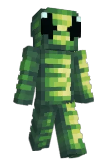 __Chong__ Minecraft avatar full body