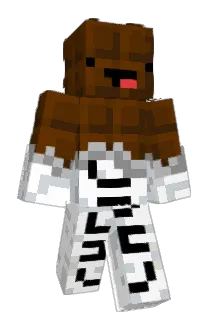 __D4__ Minecraft avatar full body
