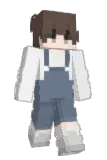 __Hypixel Minecraft avatar full body