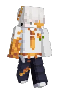 __MoIn__ Minecraft avatar full body