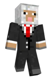 __RAD__ Minecraft avatar full body