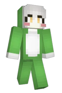 __Raccoon Minecraft avatar full body