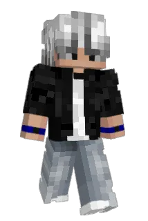 __STRIPES_ Minecraft avatar full body