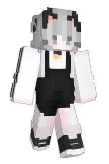__Switch Minecraft avatar full body
