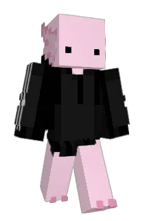 ___F1uxKitty Minecraft avatar full body