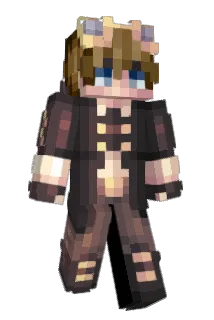 ___FLIP Minecraft avatar full body