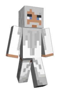 ___GJR Minecraft avatar full body