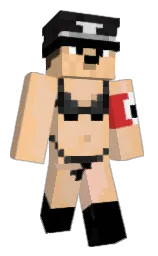 Custom render preview