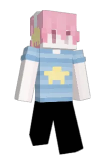____1004 Minecraft avatar full body
