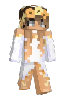 ____10____ Minecraft avatar full body
