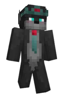 _____ Minecraft avatar full body