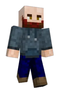 ____olli Minecraft avatar full body