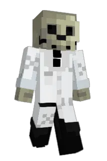 ____wo Minecraft avatar full body
