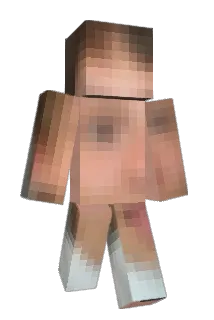 ___reiii Minecraft avatar full body
