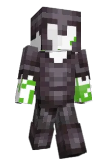 __force Minecraft avatar full body