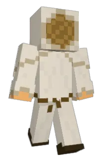 __lem_ Minecraft avatar full body