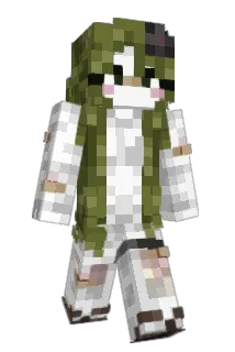 __lilit Minecraft avatar full body