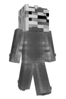 __unkown Minecraft avatar full body