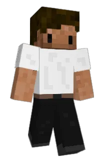 __vinny Minecraft avatar full body